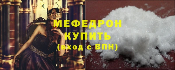 индика Елизово