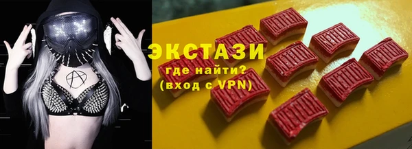 индика Елизово