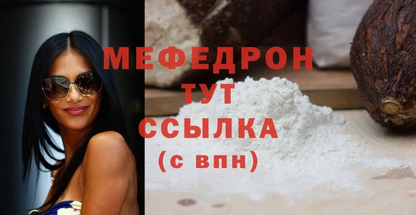 мдпв Елабуга