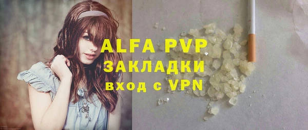 индика Елизово
