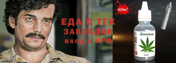 индика Елизово