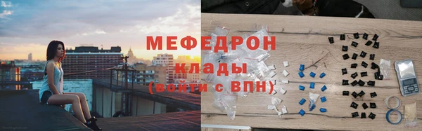индика Елизово