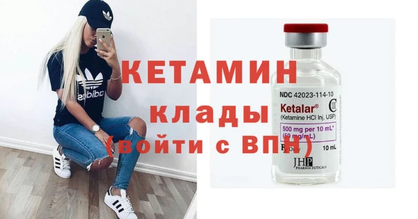 индика Елизово