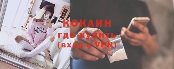 индика Елизово