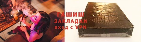 индика Елизово