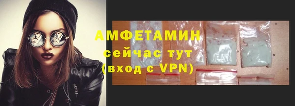 индика Елизово