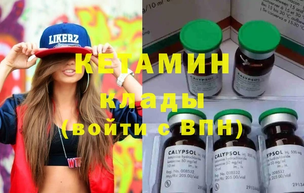 индика Елизово