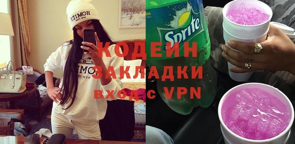 мдпв Елабуга