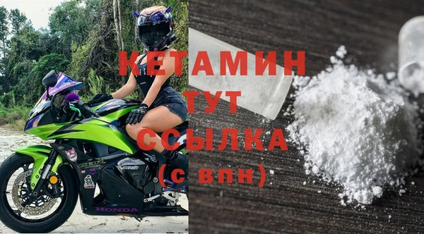 индика Елизово
