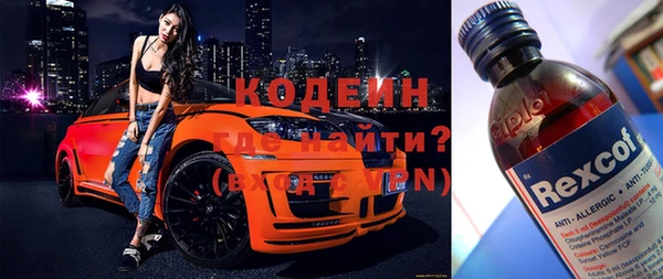индика Елизово
