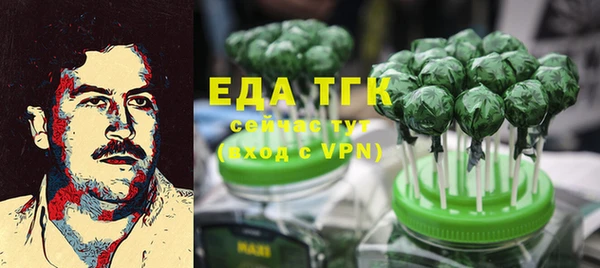 индика Елизово