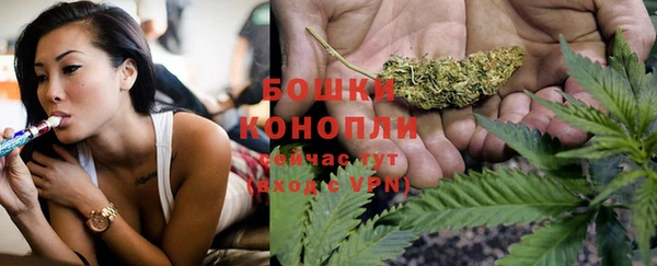 PSILOCYBIN Сясьстрой