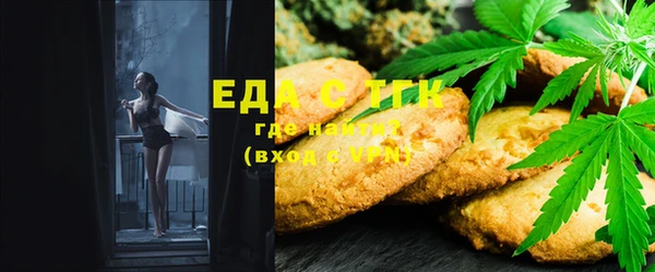 мдпв Елабуга
