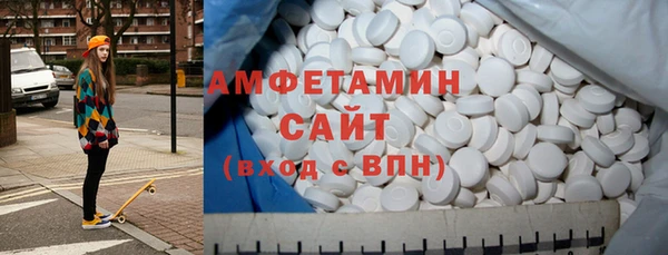 индика Елизово