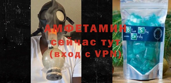 мдпв Елабуга