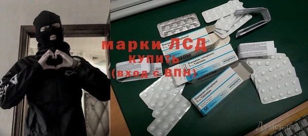 мдпв Елабуга
