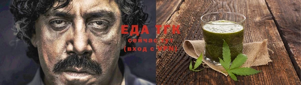 индика Елизово