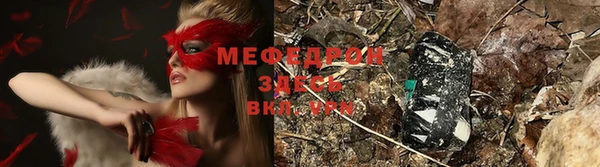 мдпв Елабуга