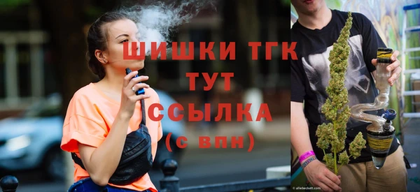 мдпв Елабуга