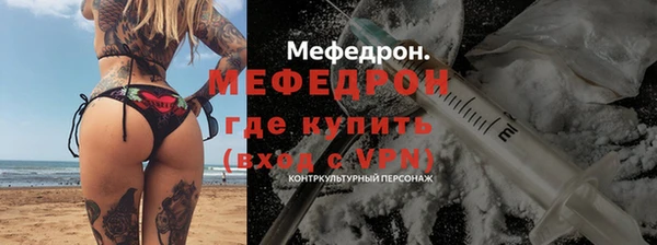 индика Елизово